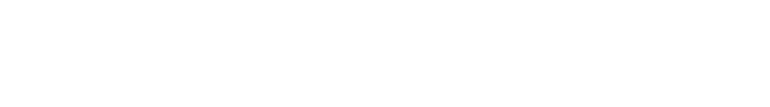 VICELAND